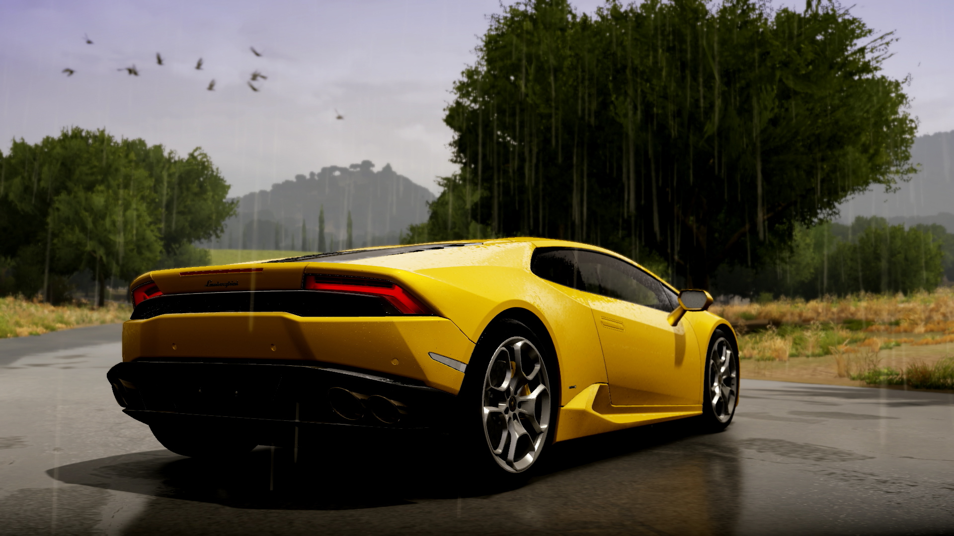 Forza Horizon 2 (for Xbox One) Review